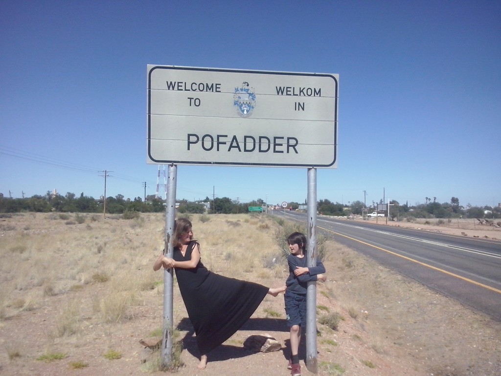 Pofadder