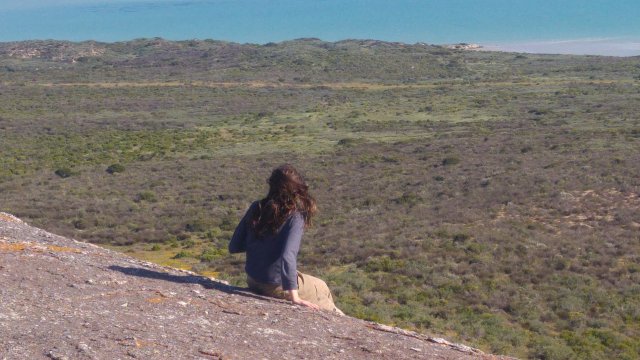 searching_for_dung_beetles